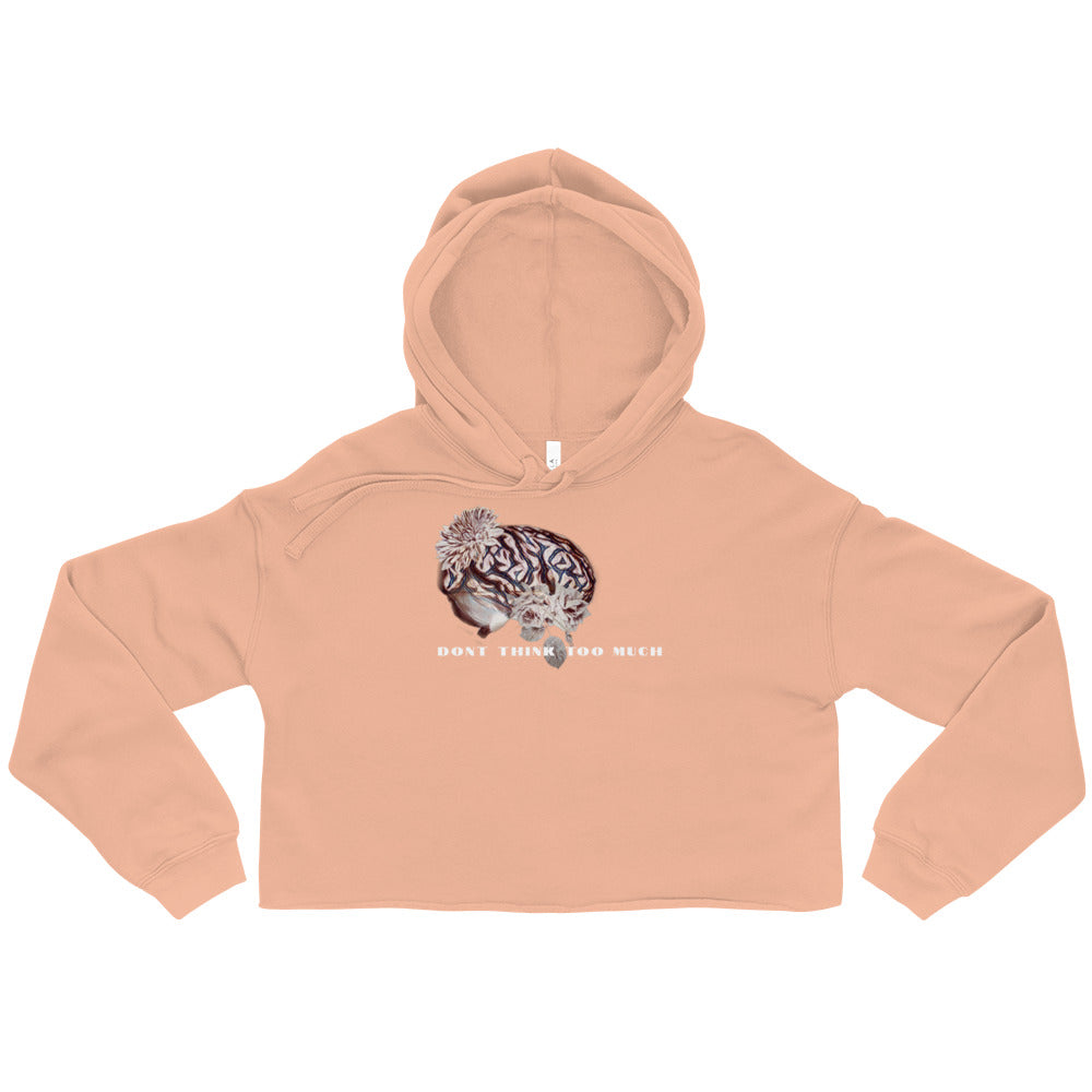 Flora & Fauna 